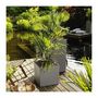 Voir la diapositive 5 : LECHUZA LECHUZA Jardiniere CANTO Stone 40 LED High ALL-IN-ONE 40x40 cm
