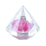 SC CRYSTAL Ecrin décoré d'une rose éternelle - stabilisée rose