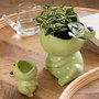 Voir la diapositive 3 : Paris Prix Cache-Pot Déco en Dolomite  Grenouille  21cm Vert