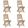 Voir la diapositive 1 : VIDAXL Chaises pliables de jardin lot de 4 avec coussins Bois d'acacia