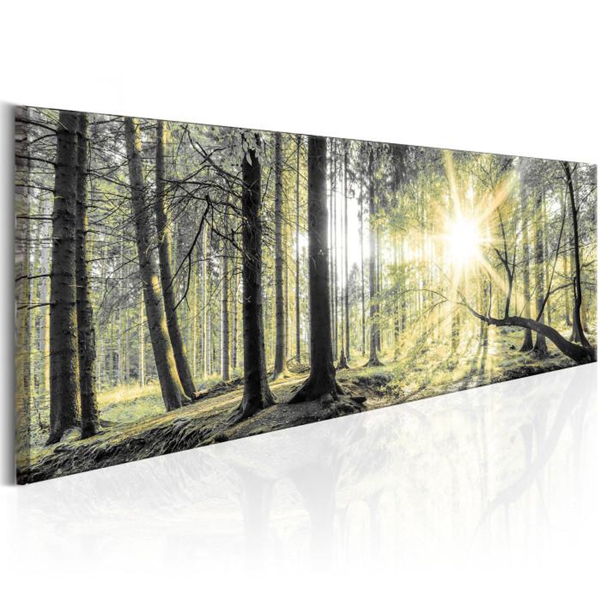 Paris Prix Tableau Imprimé  Morning Forest. Coloris disponibles : Multicolore