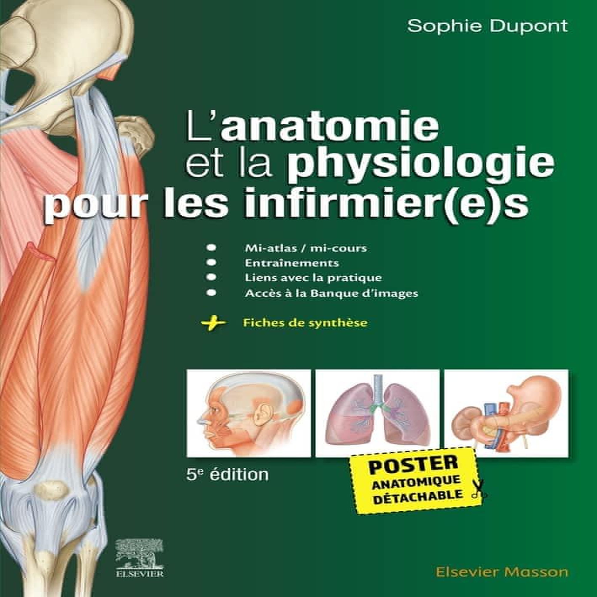 L'ANATOMIE ET LA PHYSIOLOGIE POUR LES INFIRMIER(E)S. AVEC 1 POSTER ANATOMIQUE DETACHABLE, 5E EDITION, Dupont Sophie