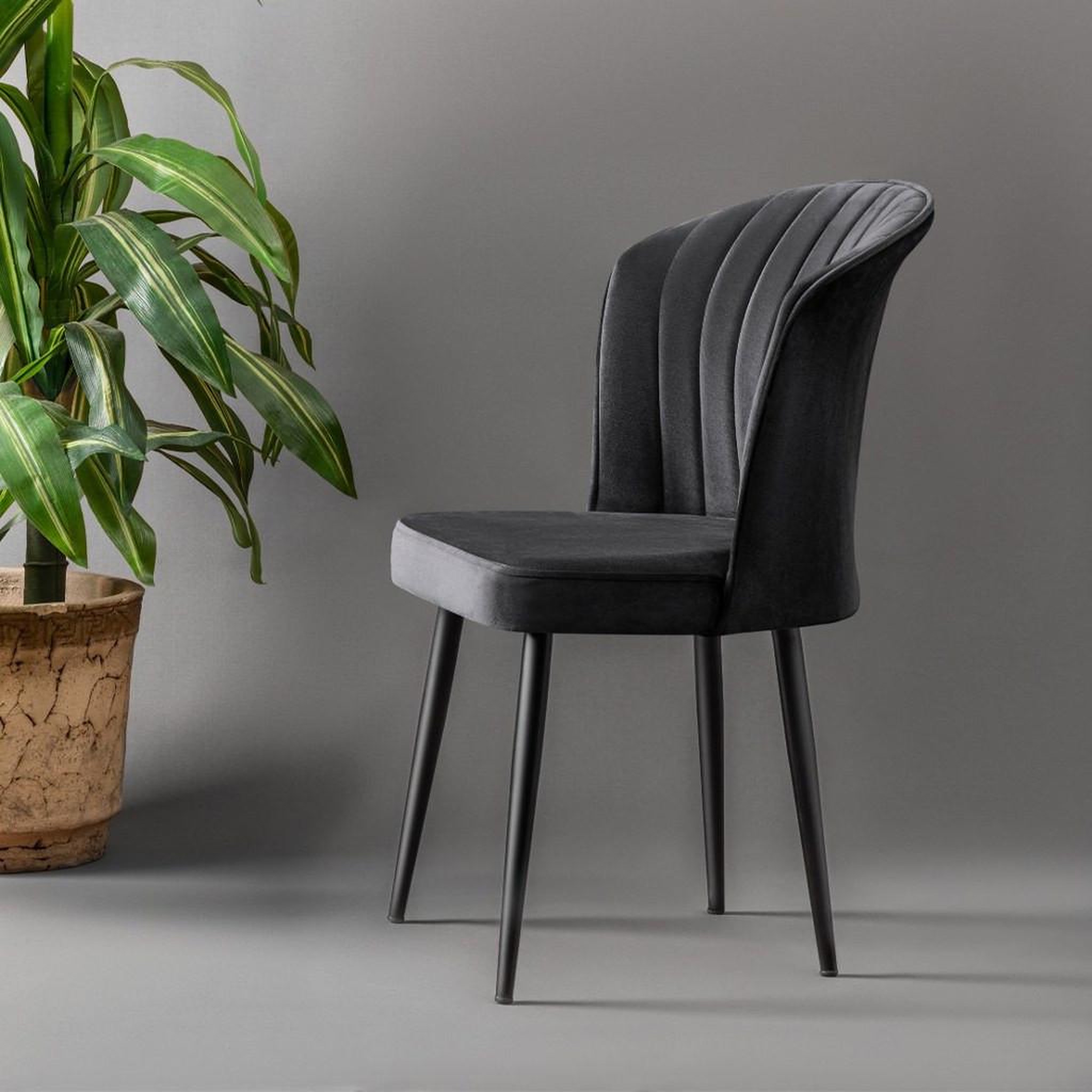 Voir la diapositive 3 : Habitat et Jardin Ensemble de chaises (2 pièces) en bois  rubi  - 52 x 42 x 85 cm - noir
