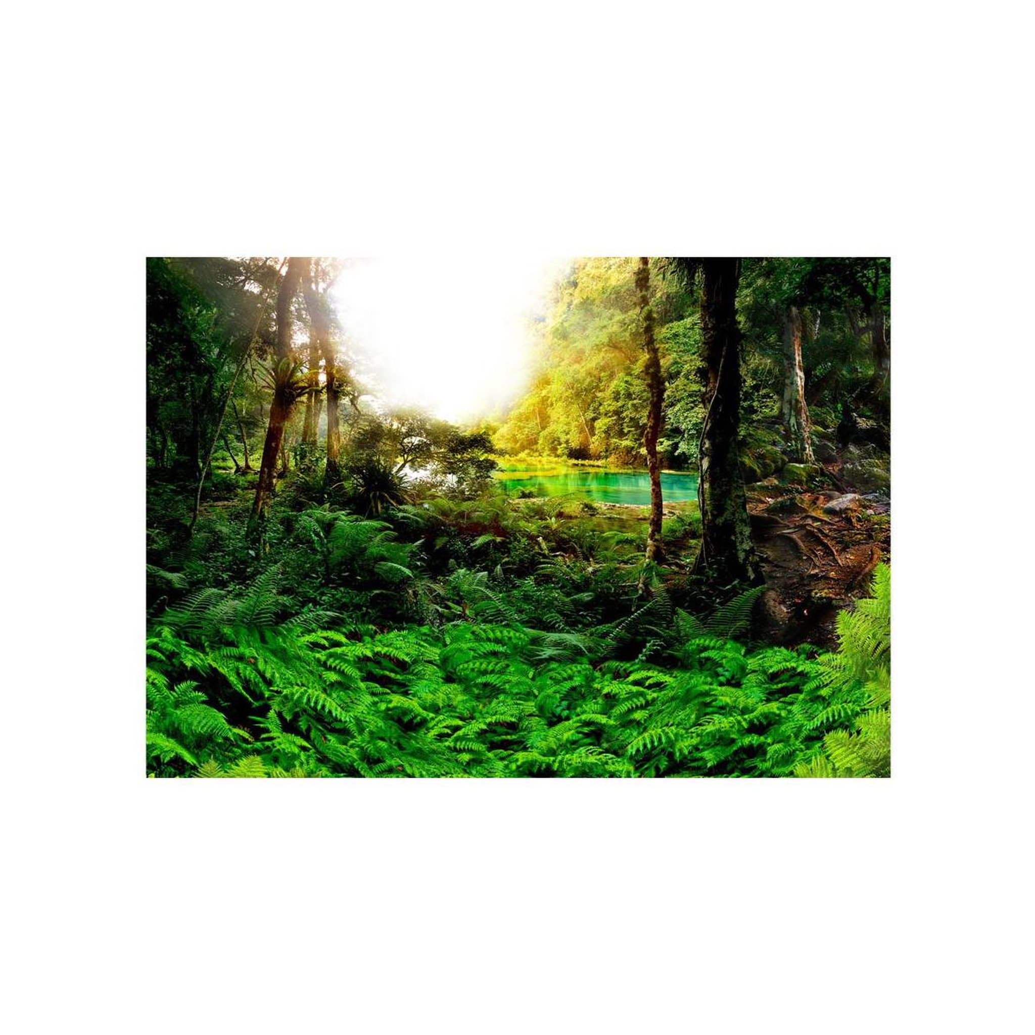 Voir la diapositive 2 : Paris Prix Papier Peint  In Tropics