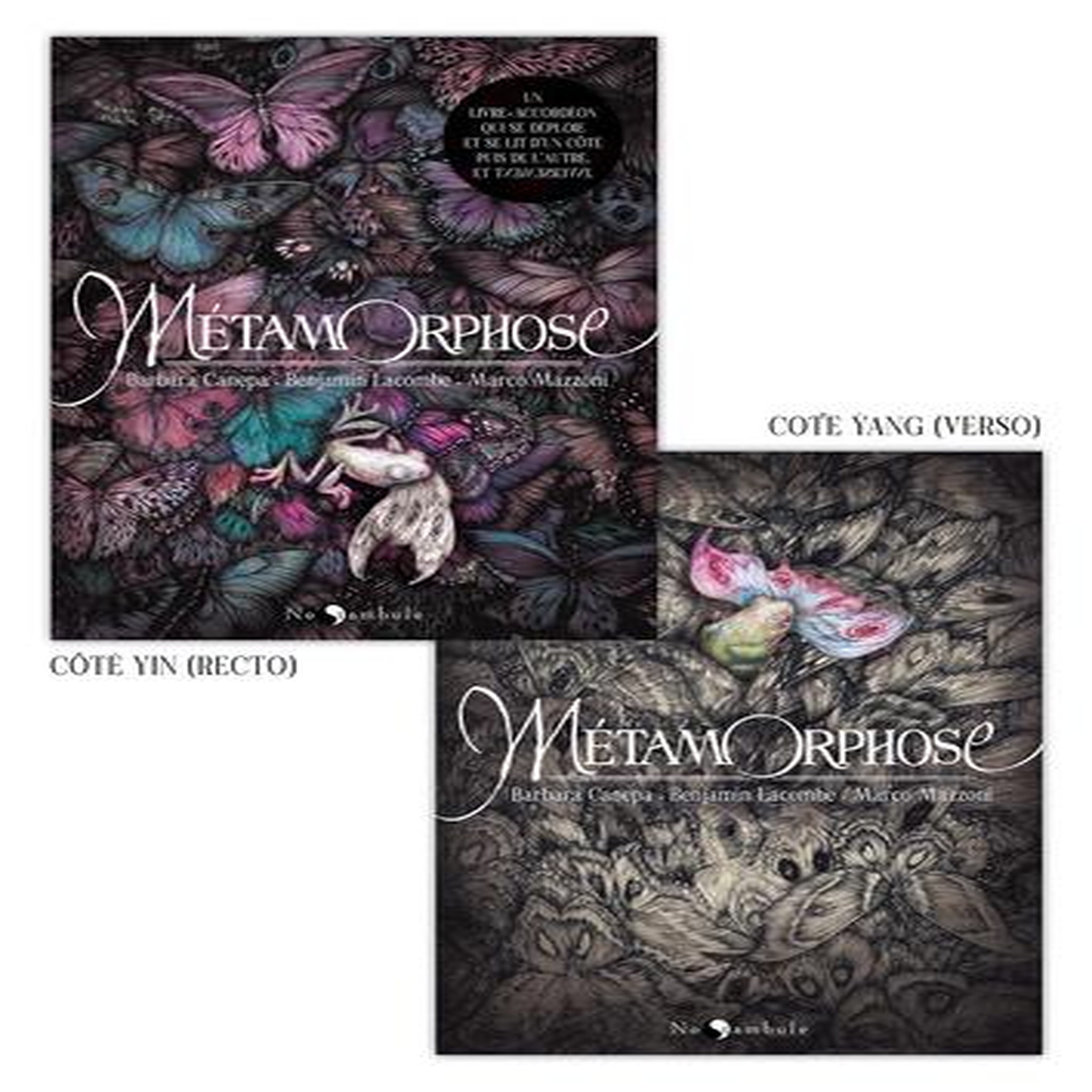 METAMORPHOSE, Canepa Barbara