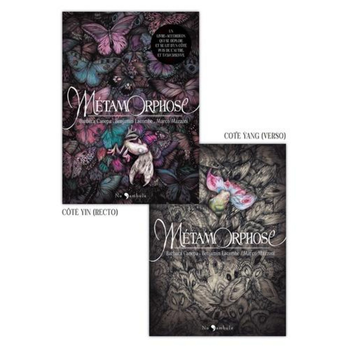 METAMORPHOSE, Canepa Barbara