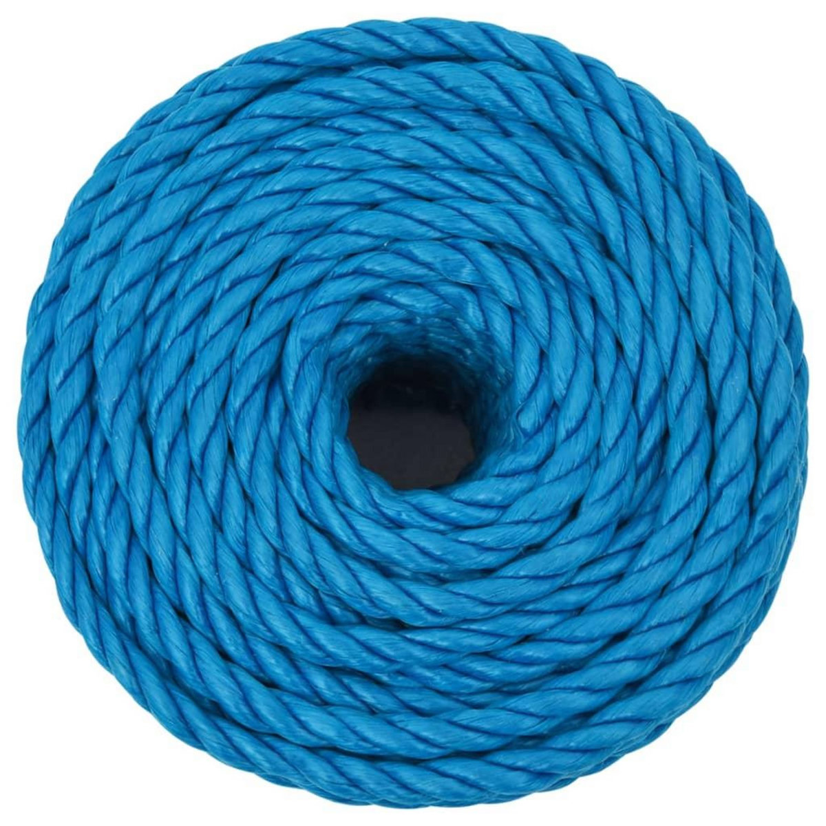 VIDAXL Corde de travail Bleu 10 mm 50 m Polypropylene
