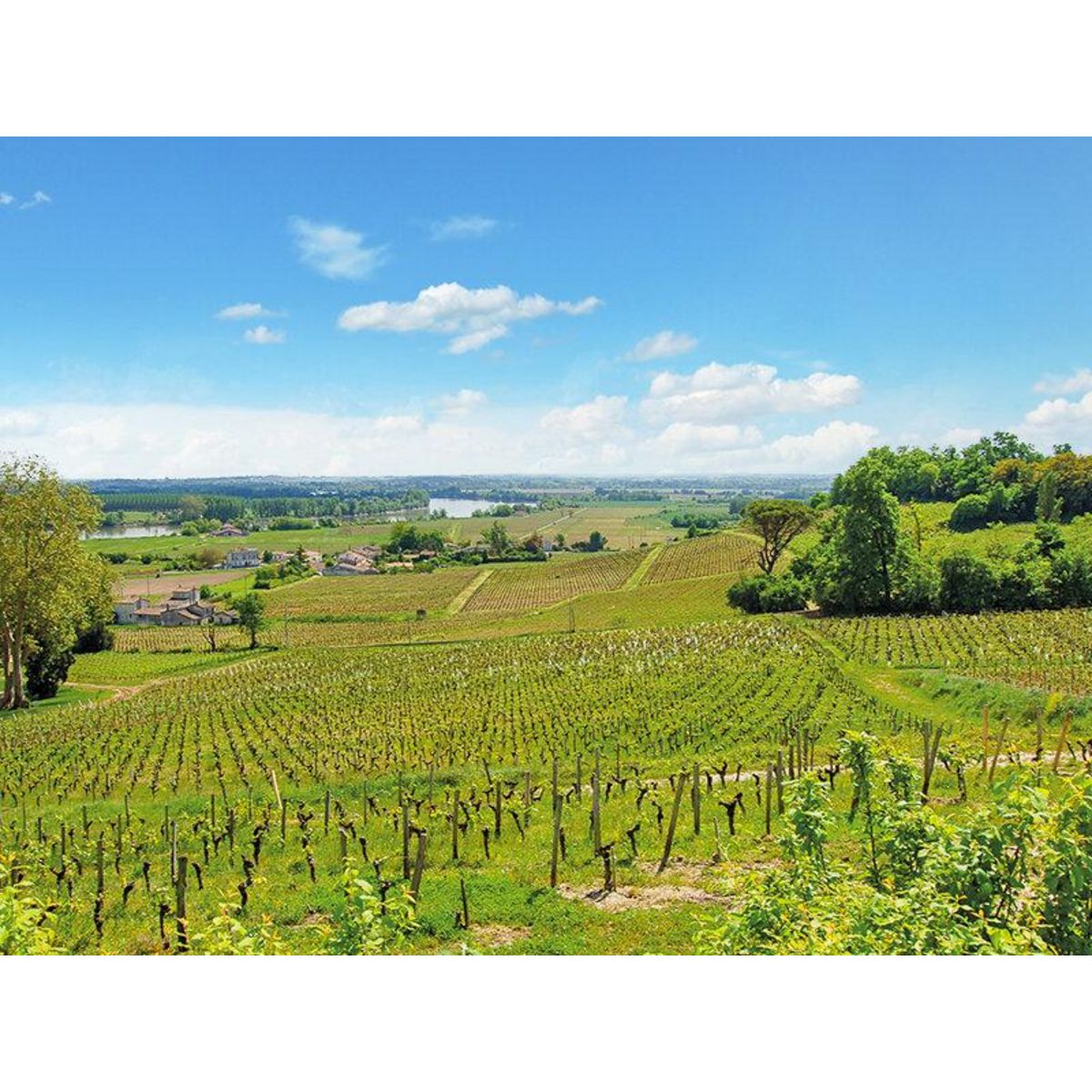 Smartbox Dégustation de grands vins de Bordeaux et visite du Château Belloy - Coffret Cadeau Gastronomie