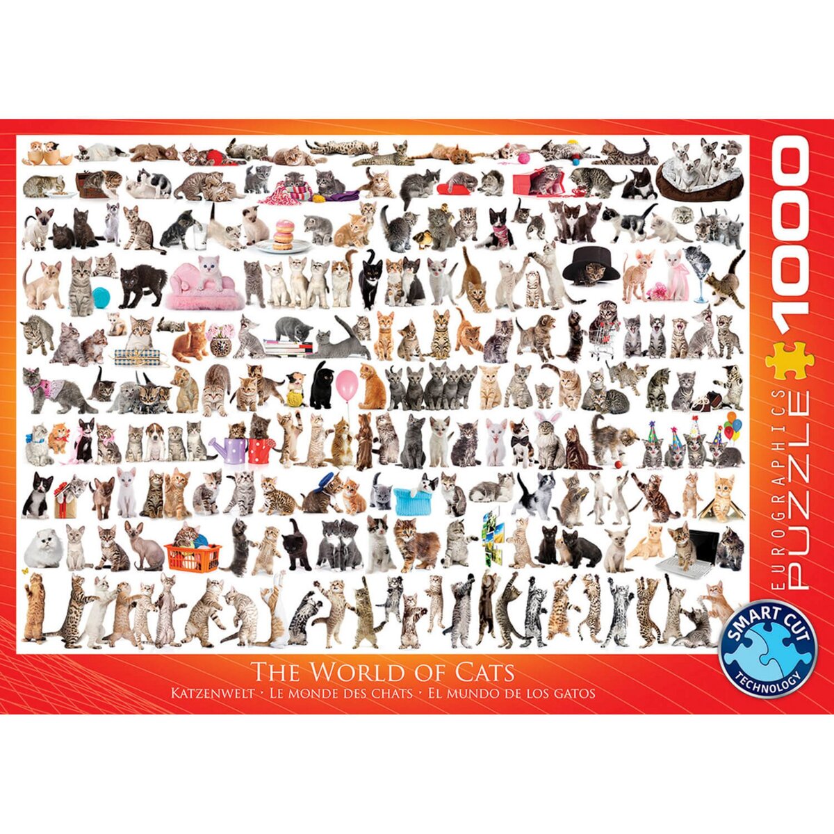 Eurographics Puzzle 1000 pièces : Le monde des chats