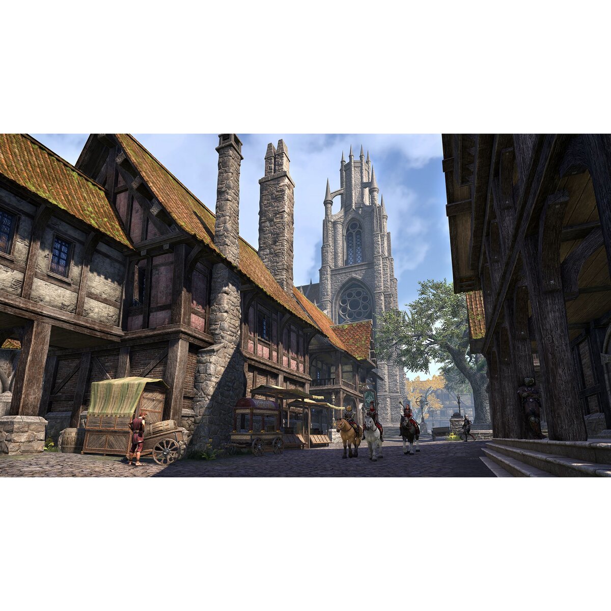 The Elder Scrolls Online Blackwood Collection PS4