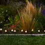 Voir la diapositive 6 : Lumisky Guirlande mini champignons CHAMPY Blanc Plastique 3.8M