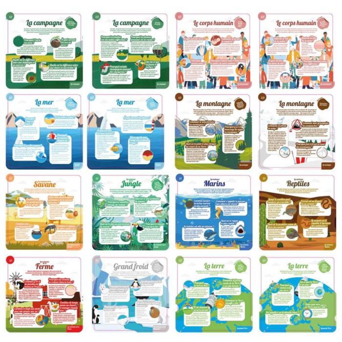 Paris Prix Jeu des Pourquoi  16 Cartes  16cm Multicolore