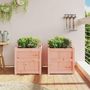 Voir la diapositive 3 : VIDAXL Jardinieres 2 pcs bois massif douglas