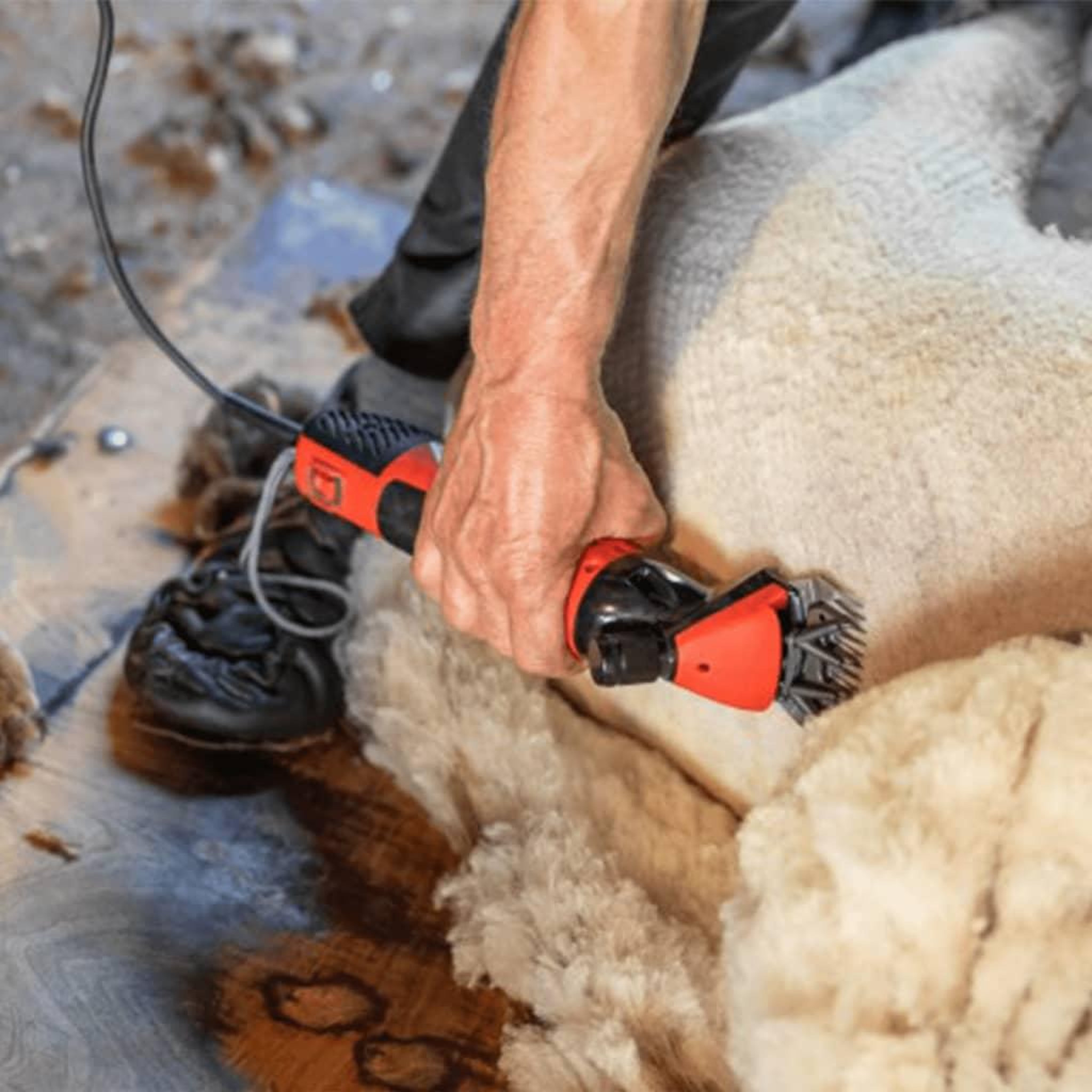 Voir la diapositive 1 : KERBL Kerbl Tondeuse a moutons FarmClipper Rouge