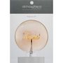 Voir la diapositive 3 : ATMOSPHERA Ampoule Décorative à Filament  Hello  17cm Ambre