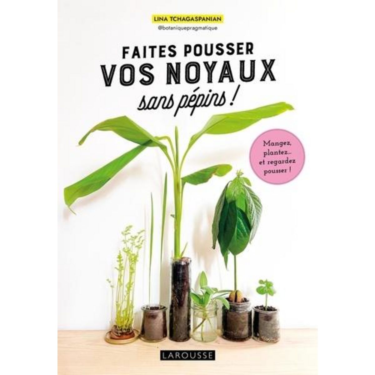 FAITES POUSSER VOS NOYAUX SANS PEPINS ! MANGEZ, PLANTEZ... ET REGARDEZ POUSSER !, Tchagaspanian Lina
