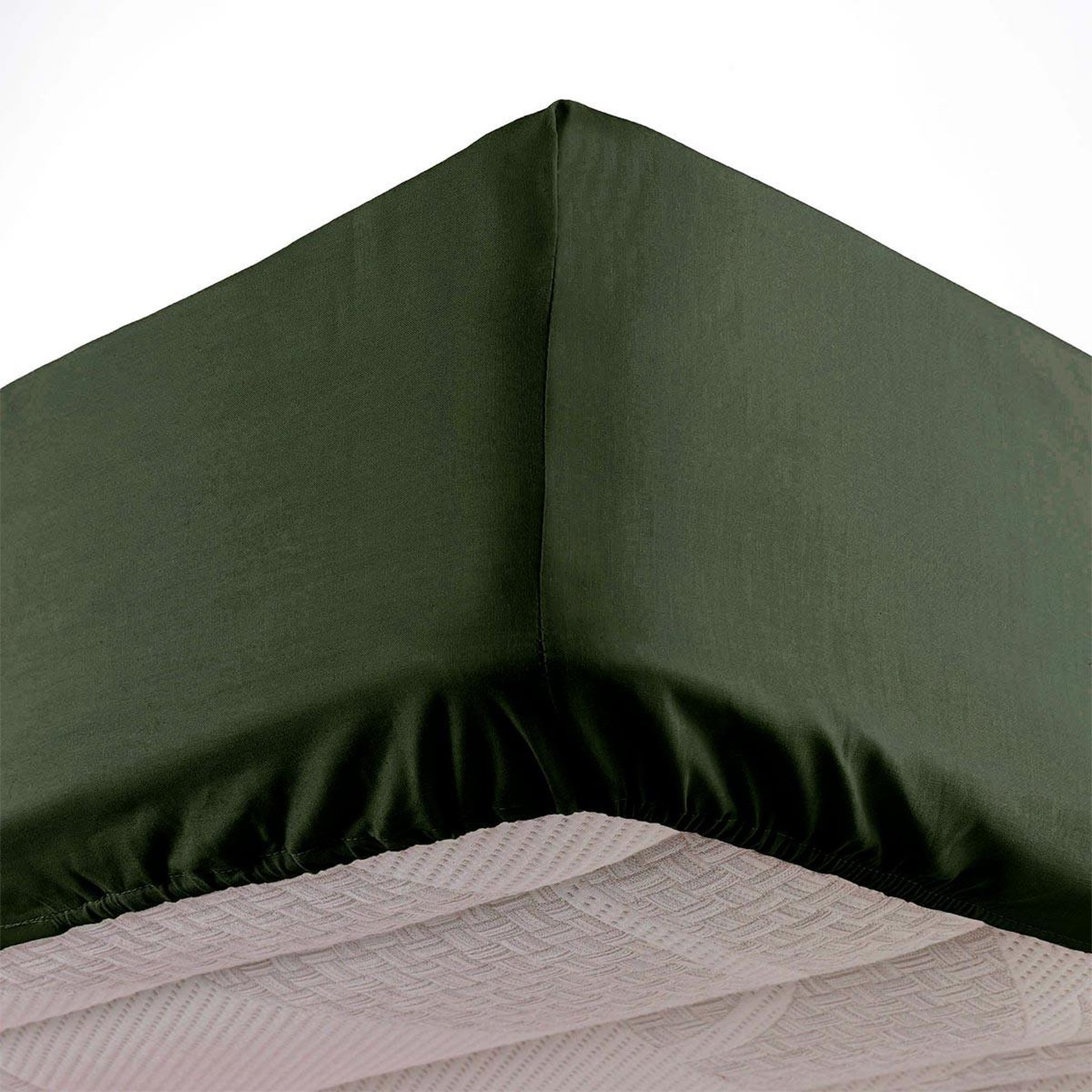 Douceur d'Intérieur Drap housse microfibre  oscar  90x190cm kaki