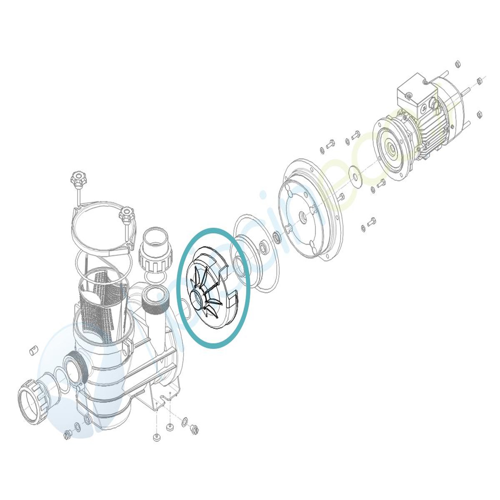 HYDROSWIM Volute pour pompe série hgs - hydroswim