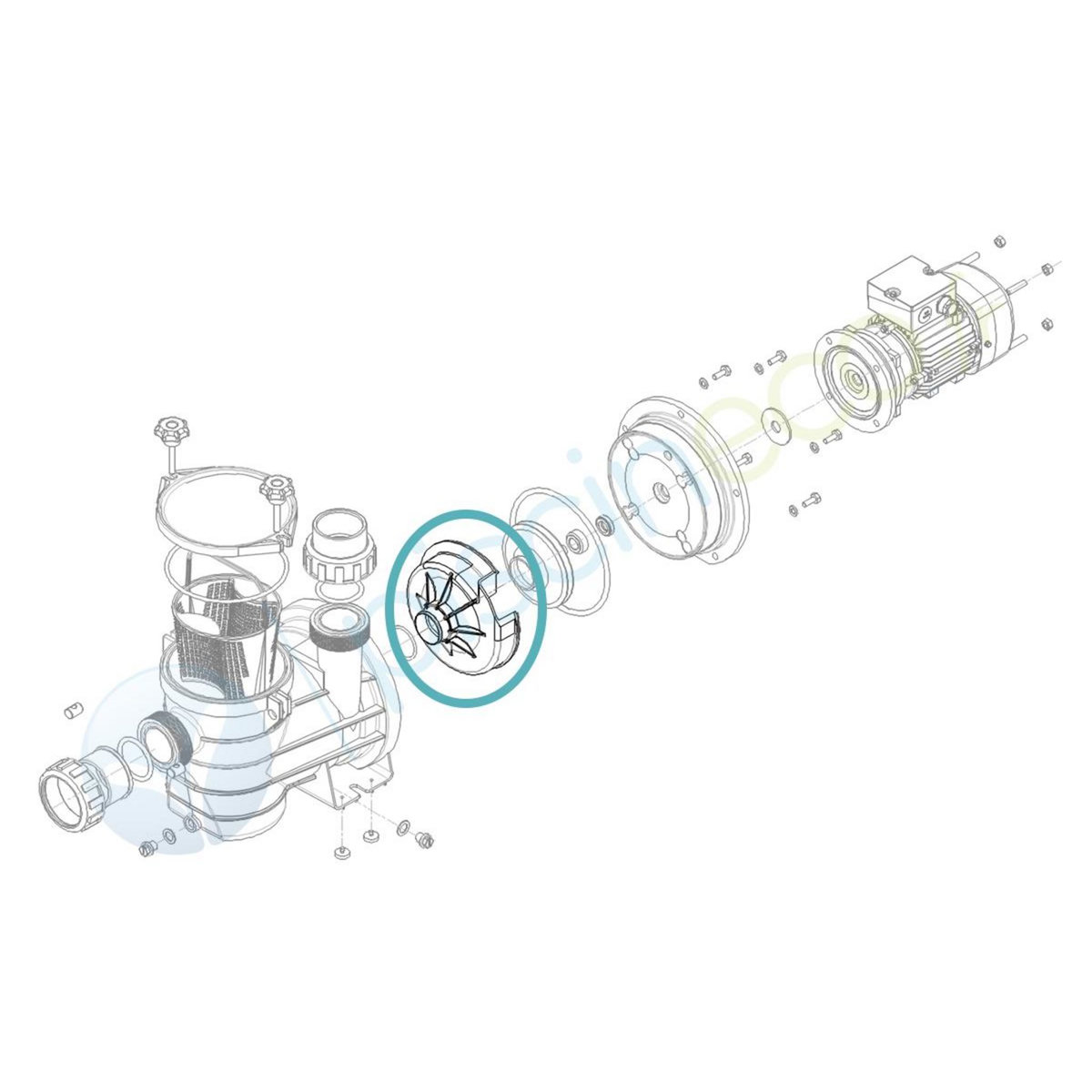 HYDROSWIM Volute pour pompe Série HGS - Hydroswim