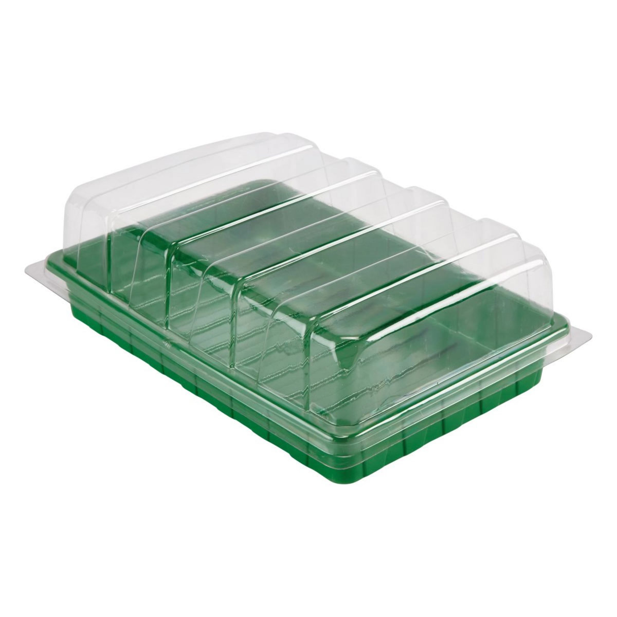 GARDENSTAR Mini serre avec couvercle - 24 alvéoles