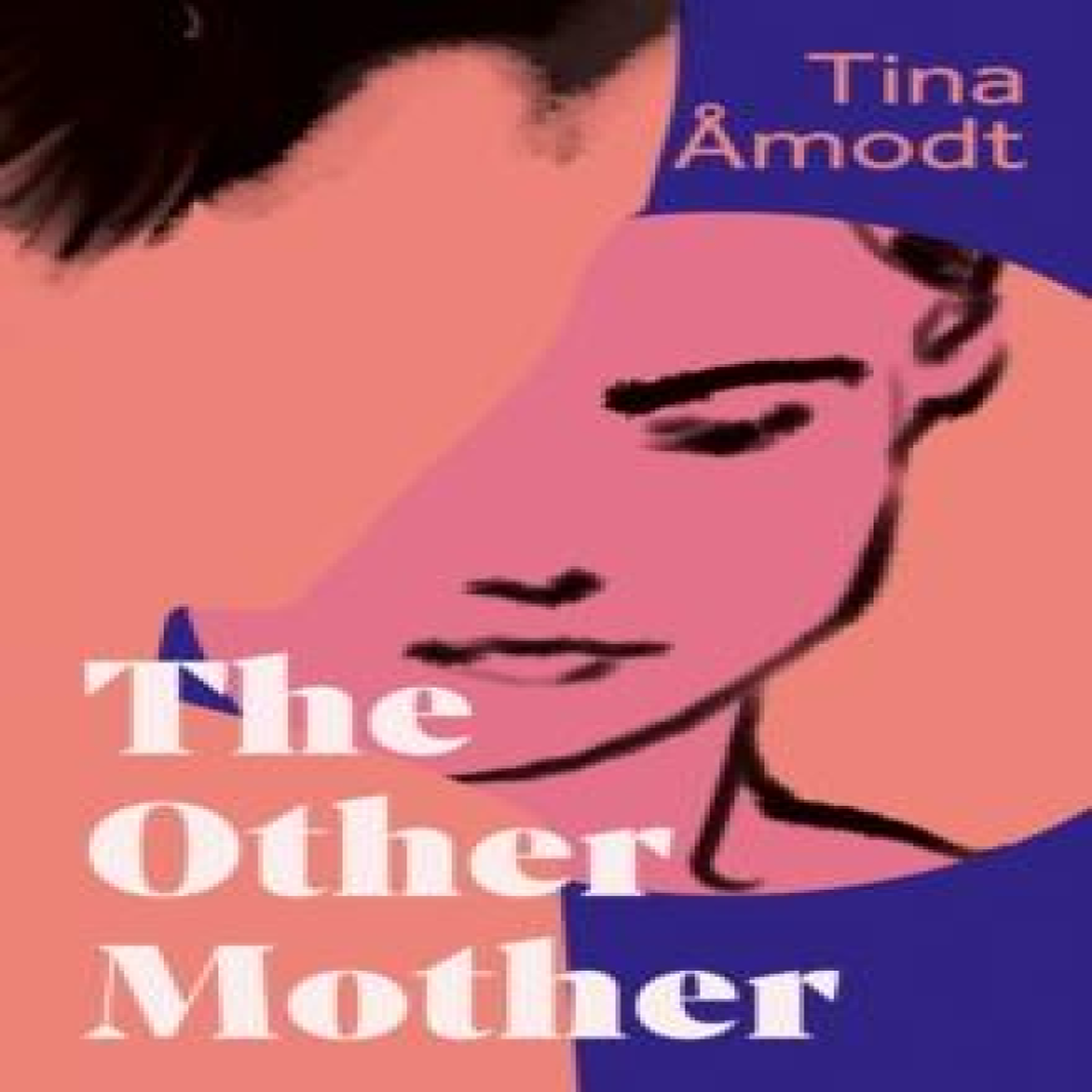 LIVRES The Other Mother - Tina Ãmodt