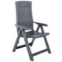 Voir la diapositive 2 : VIDAXL Chaises inclinables de jardin lot de 2 Plastique Anthracite