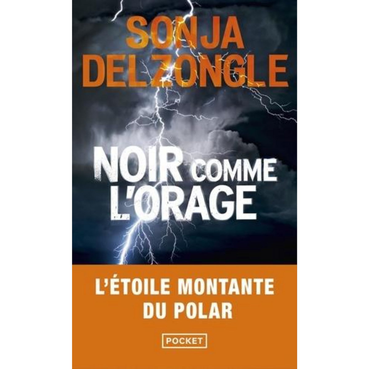 NOIR COMME L'ORAGE, Delzongle Sonja