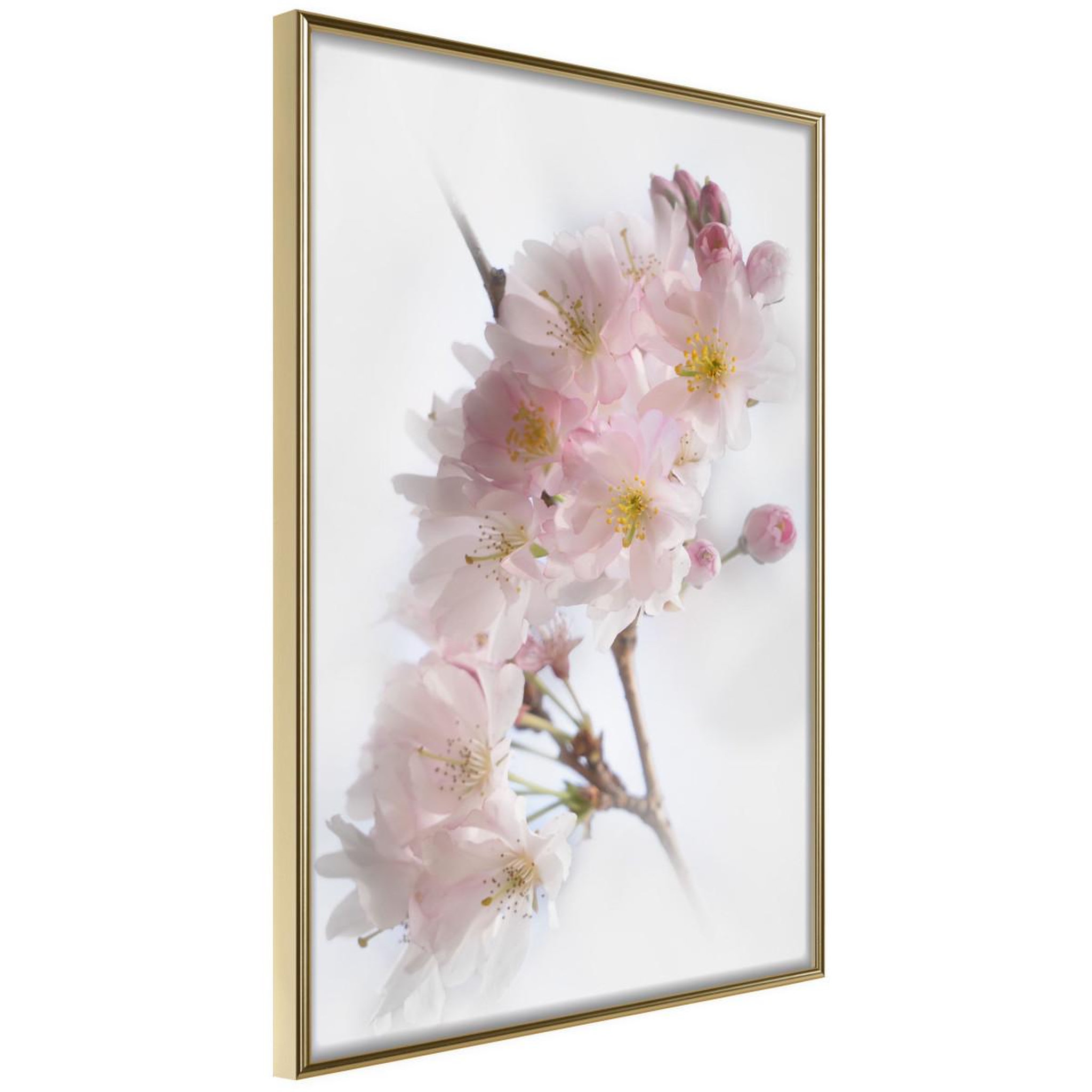 Voir la diapositive 1 : Paris Prix Affiche Murale Encadrée  Scent of Spring