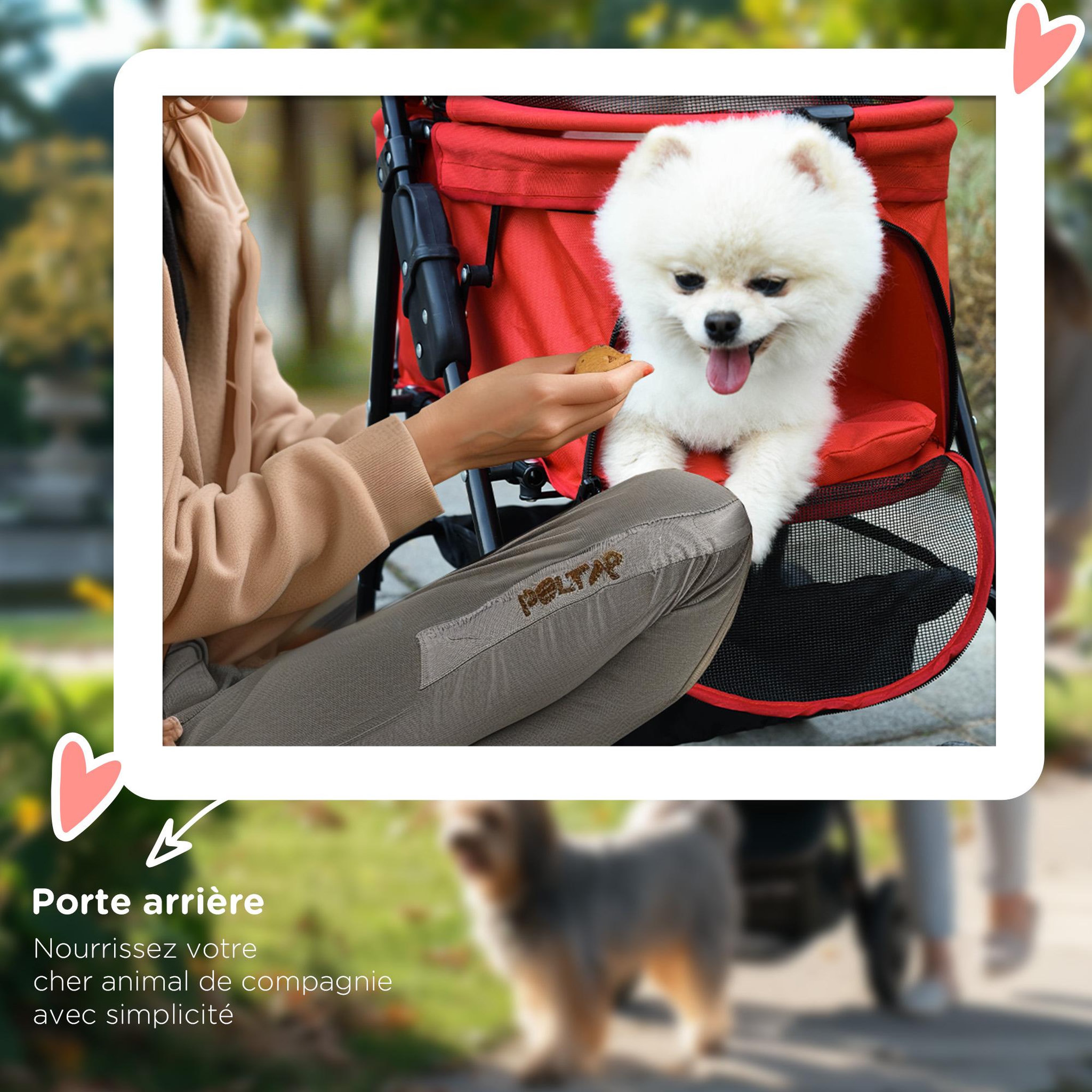 Voir la diapositive 5 : PAWHUT Poussette buggy pliable chien chat panier rangement porte-gobelets tissu 300d oxford imperméable 4 roues rouge