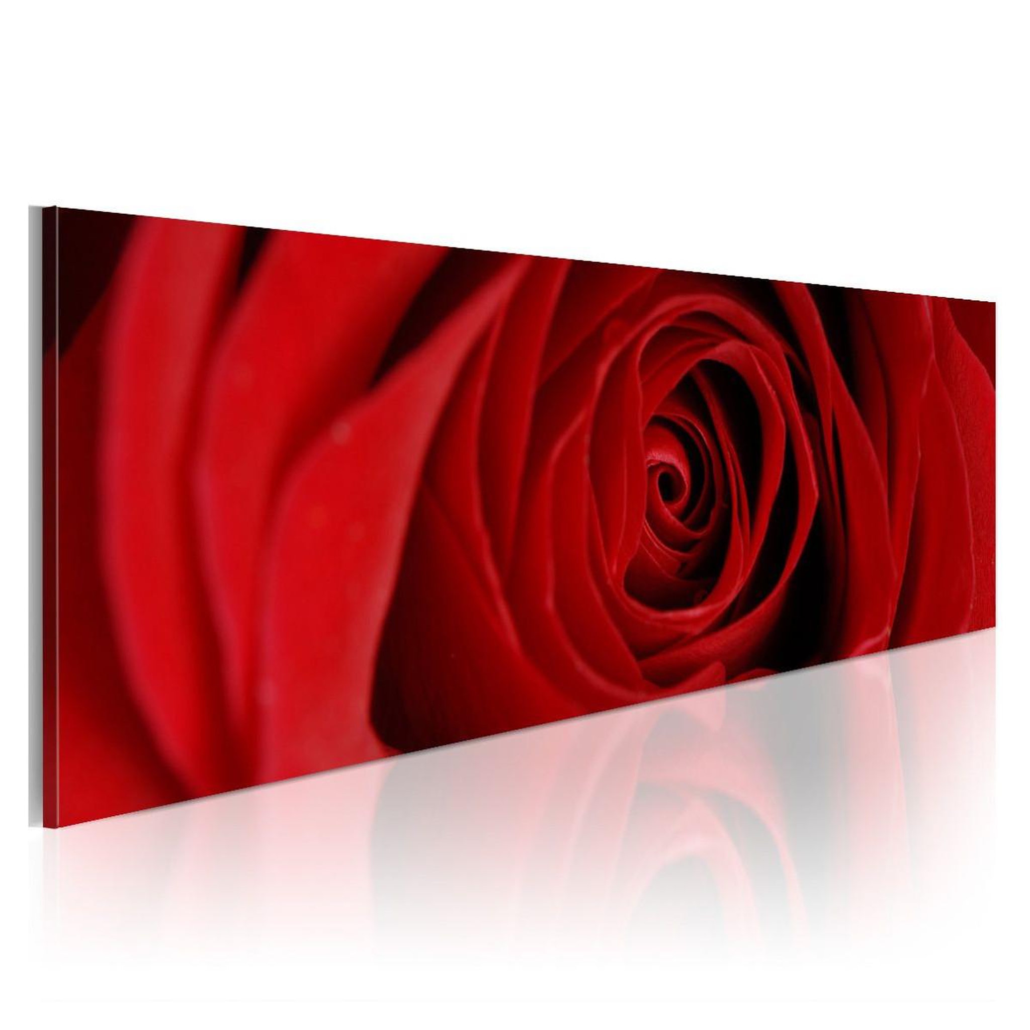 Voir la diapositive 1 : Paris Prix Tableau Imprimé  Rose du Nord