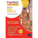 HELENE DORION, MES FORETS. LA POESIE, LA NATURE, L'INTIME. 1RE GENERALE ET TECHNOLOGIQUE. BAC FRANCAIS, EDITION 2024, Boulhol Véronique