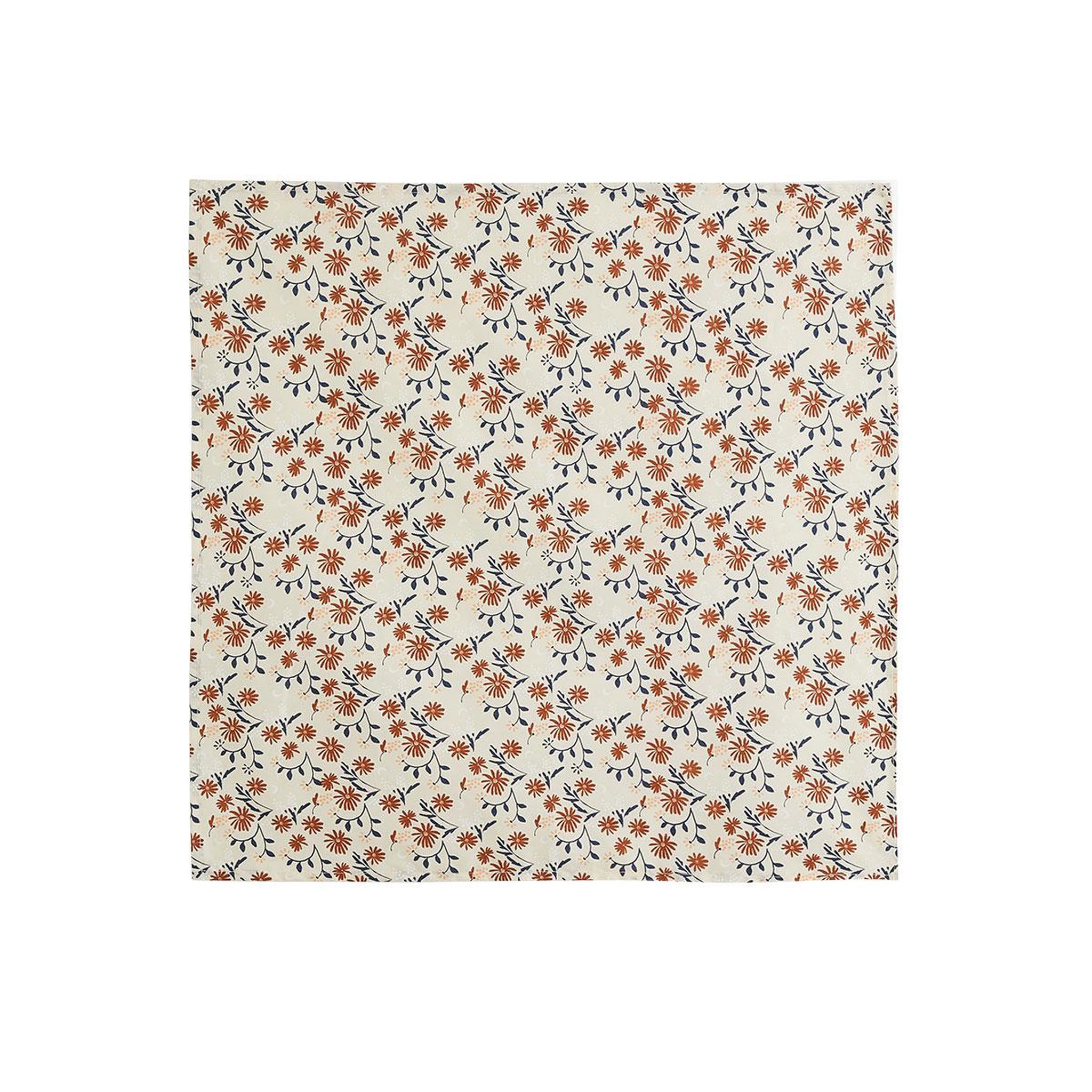 Voir la diapositive 2 : PETIT BEGUIN Foulard en popeline ollie