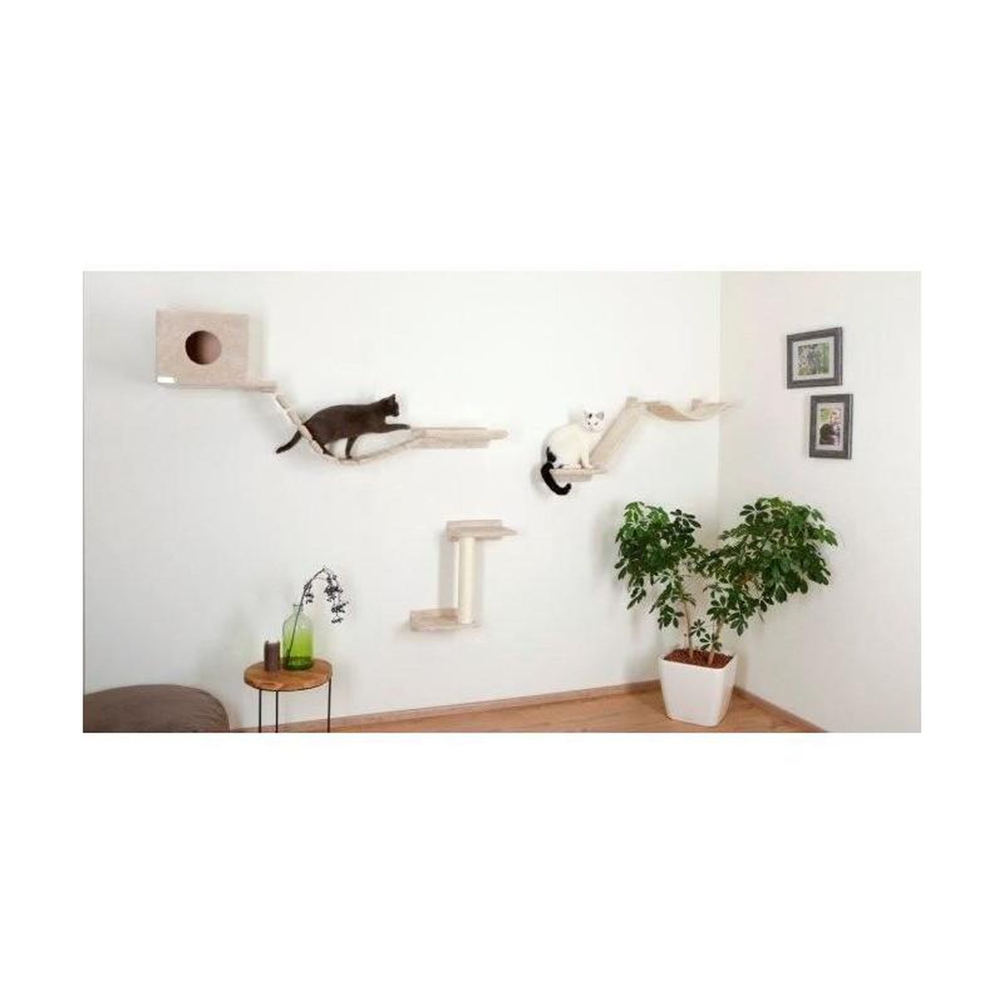 Voir la diapositive 4 : KERBL Mur d'esclade - KERBL - Mount Everest - 9pcs