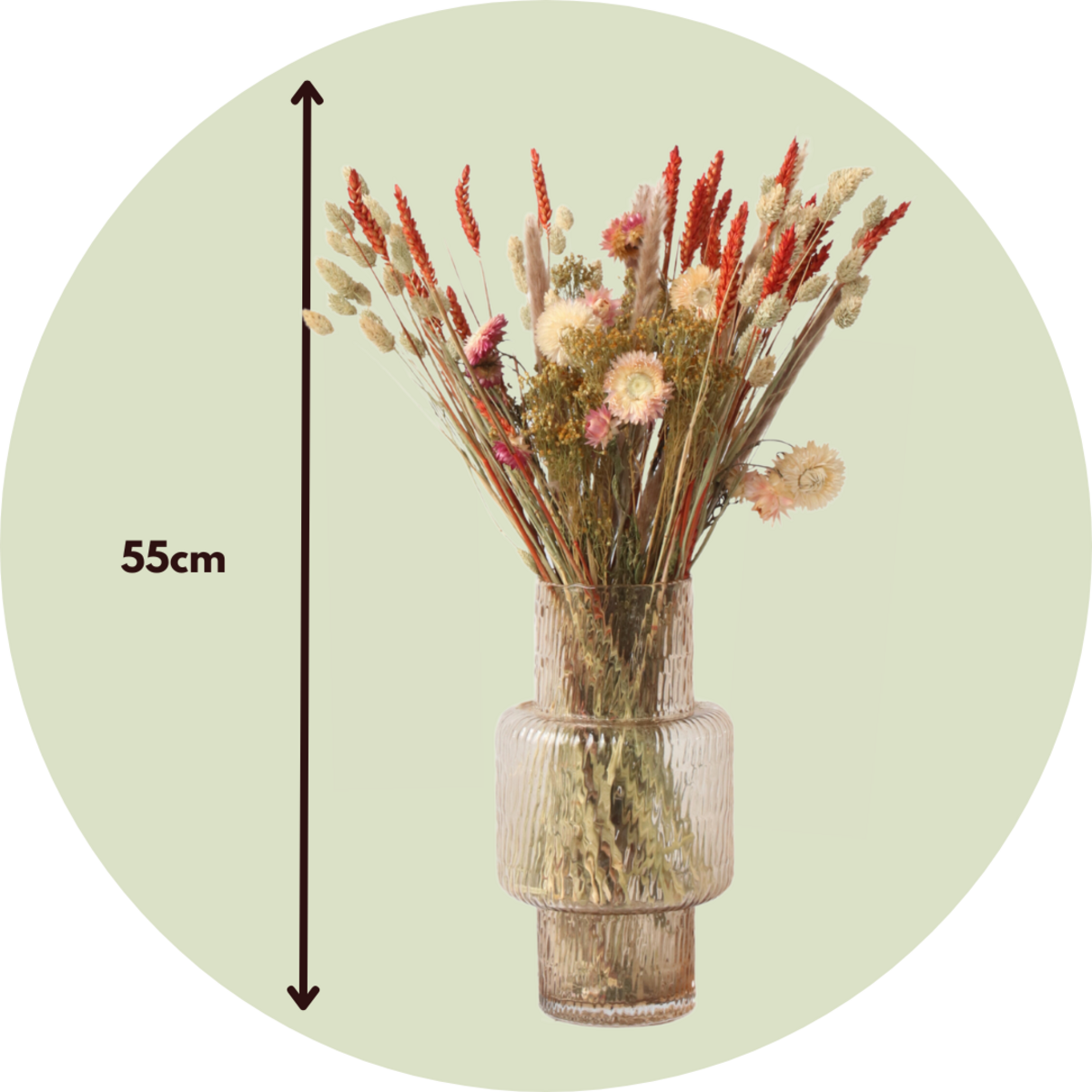 PLANT IN A BOX Fleurs séchées - Bouquet 'Trendy Hippy'