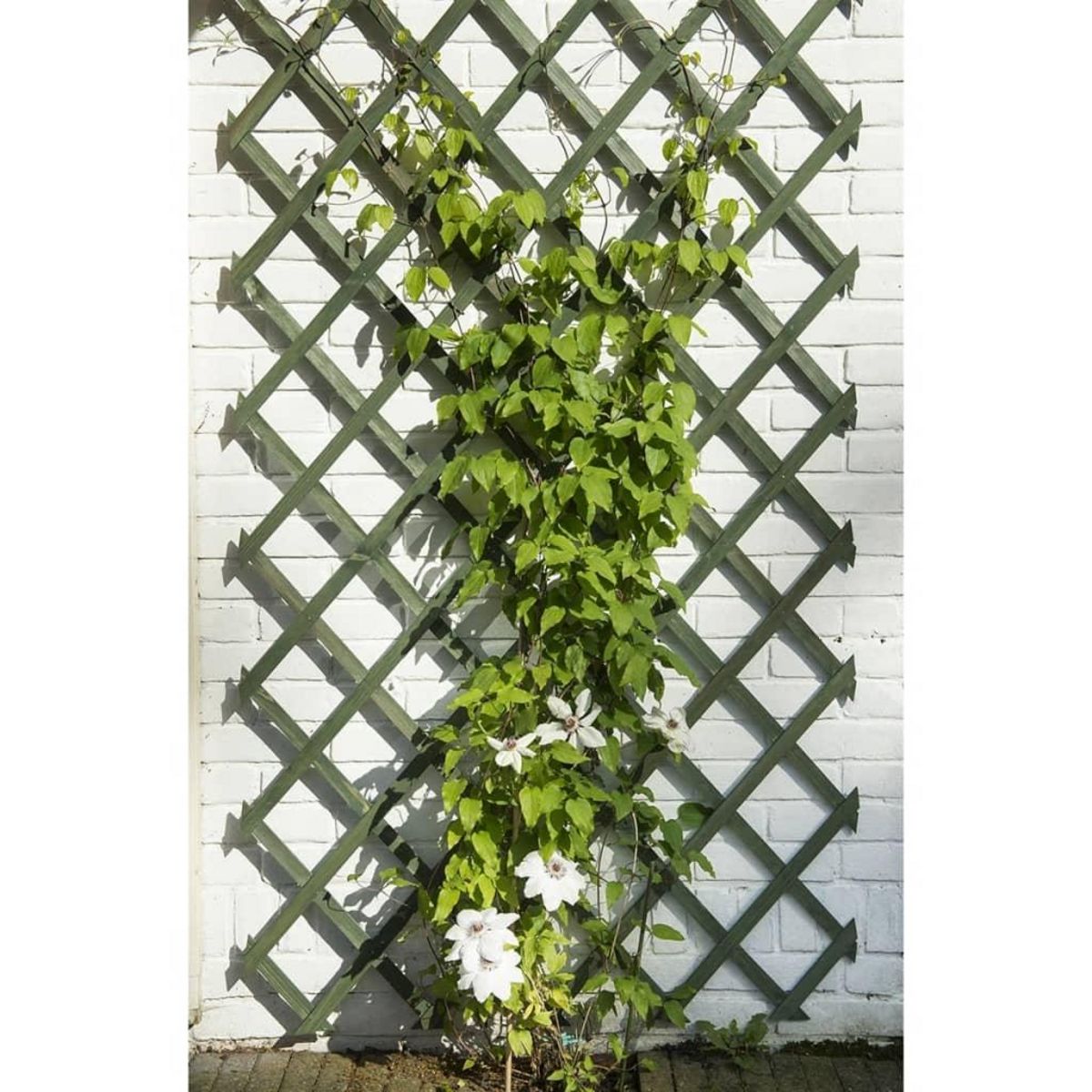 NATURE Nature Trellis de jardin 50 x 150 cm Bois Vert