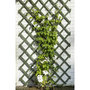 Voir la diapositive 2 : NATURE Nature Trellis de jardin 50 x 150 cm Bois Vert