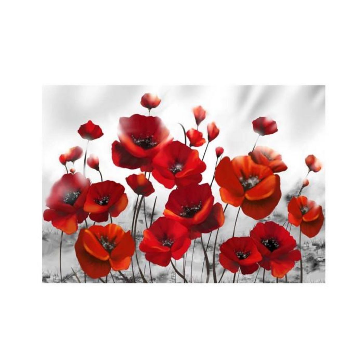 Paris Prix Papier Peint  Coquelicots dans au Clair de Lune