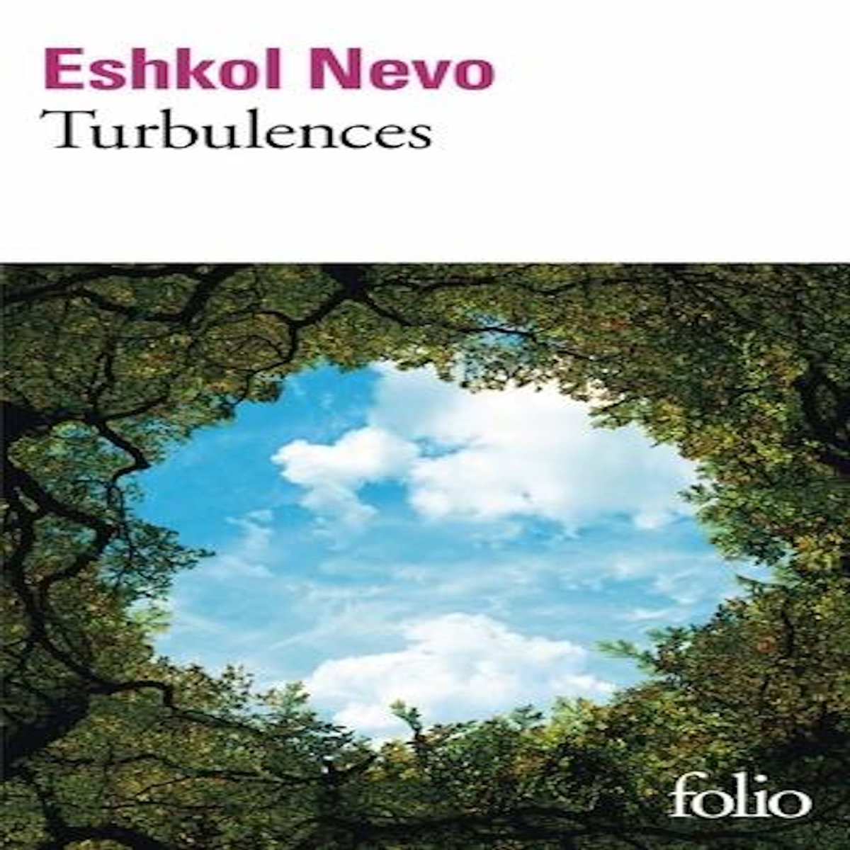 TURBULENCES, Nevo Eshkol