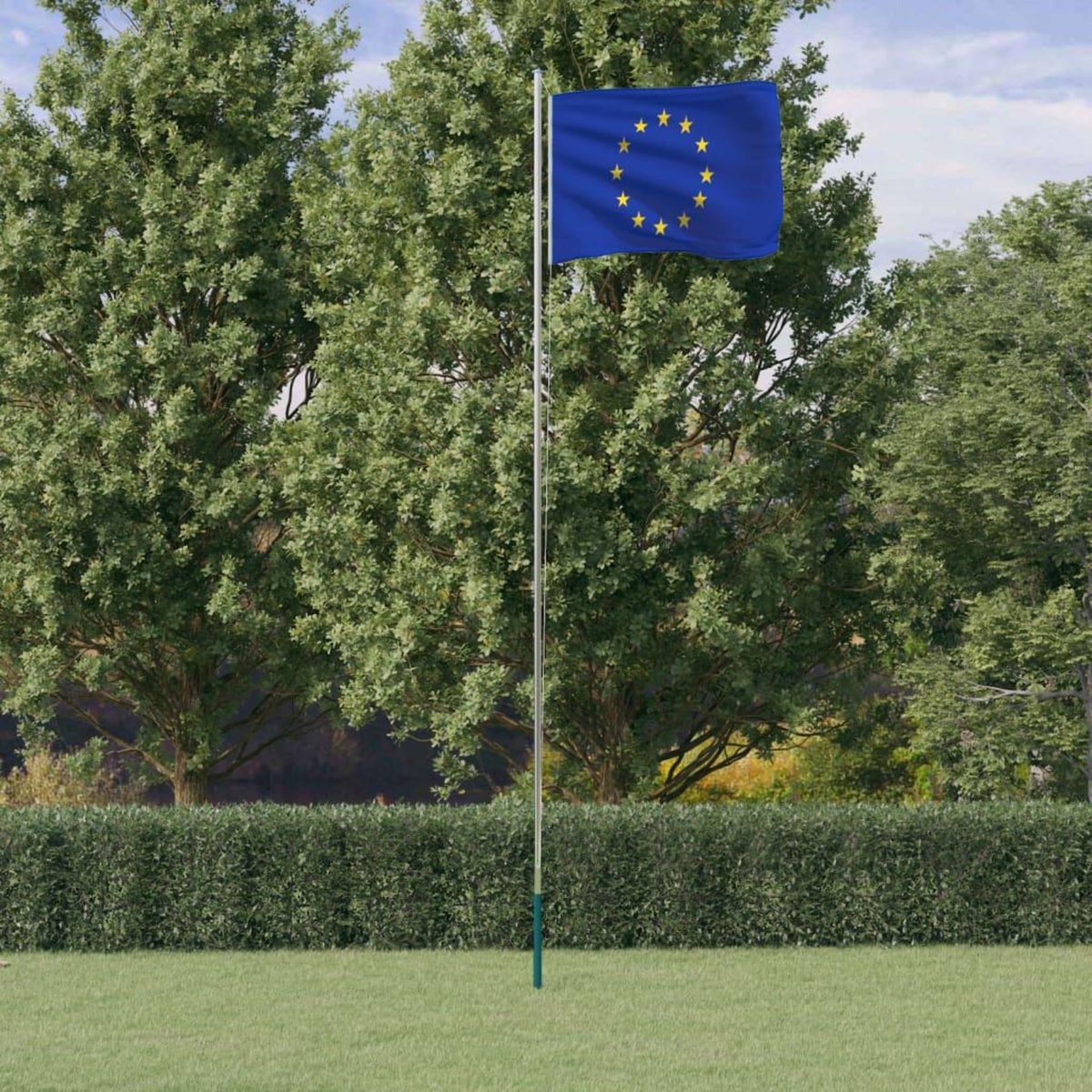 VIDAXL Drapeau de l'Europe et mat 6,23 m Aluminium