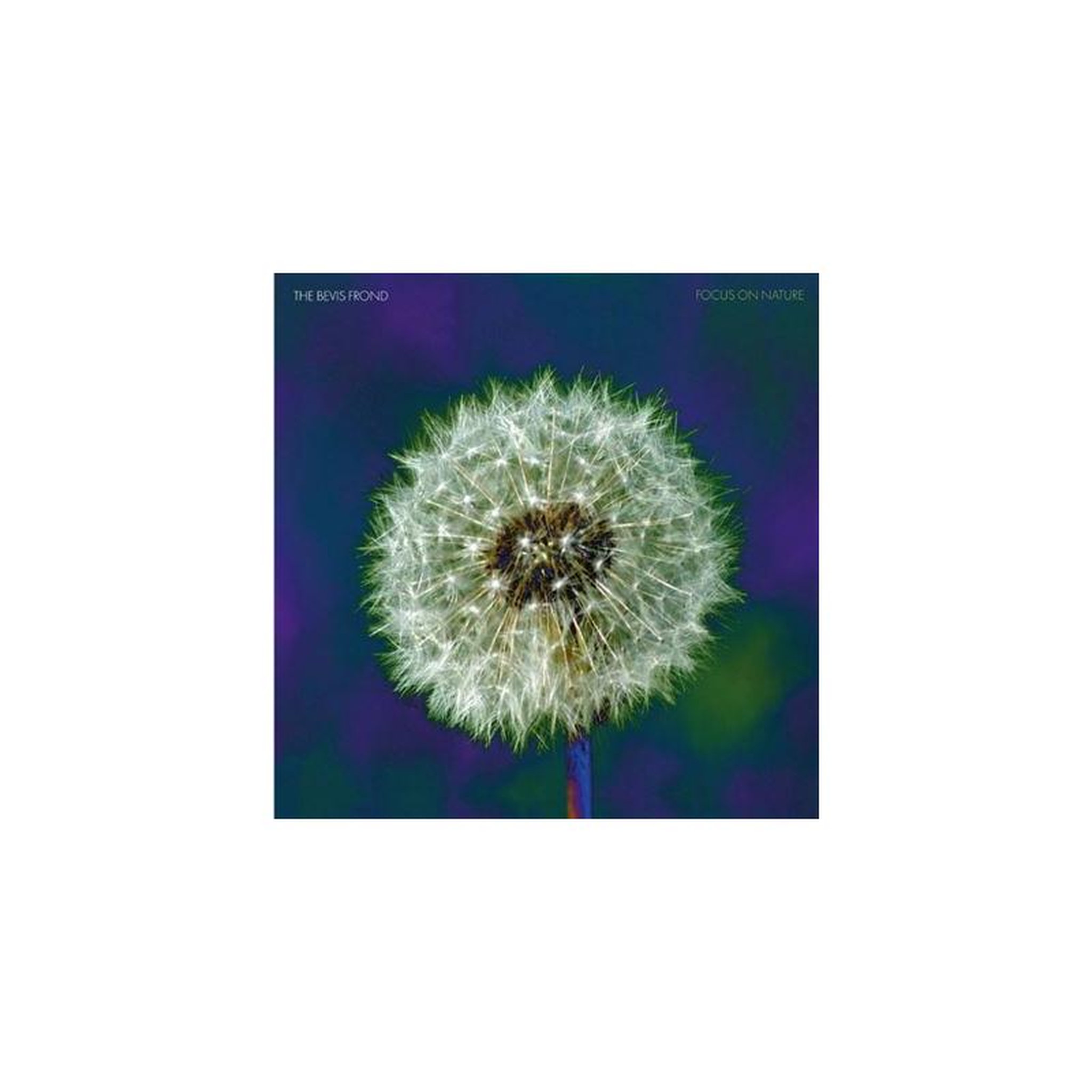 Vinyle lp édition limitée violet 2 disques focus on nature (the bevis frond / the beyond front)