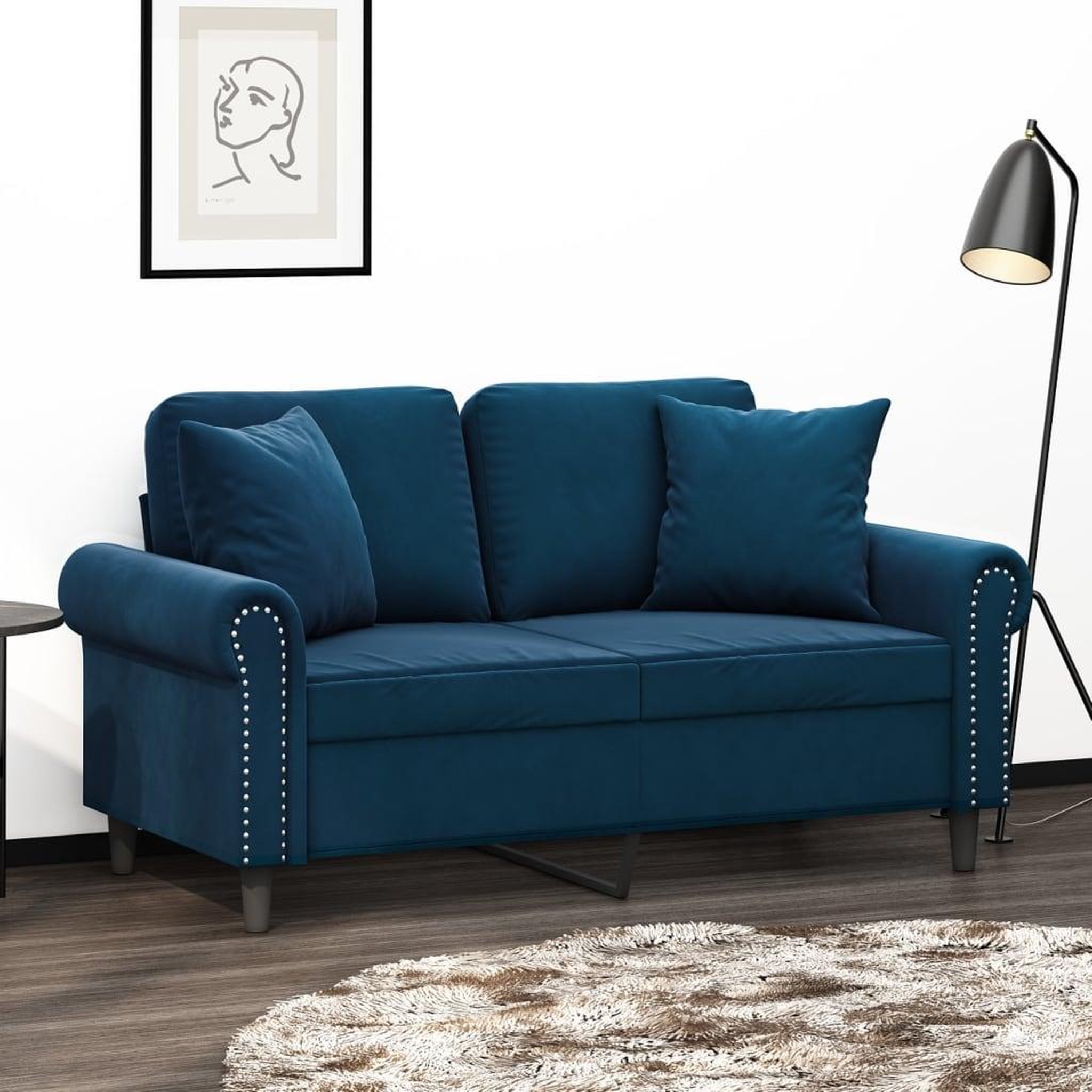 Voir la diapositive 1 : VIDAXL Coussins decoratifs lot de 2 Bleu 40x40 cm Velours