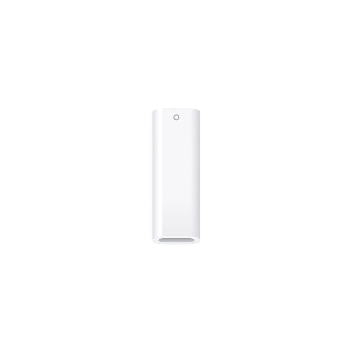 APPLE Adaptateur Adaptateur USB C Pencil