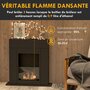 Voir la diapositive 4 : HOMCOM Cheminée bioéthanol design contemporain - brûleur 0,9 L - contrôle de flamme inclus - acier noir verre trempé