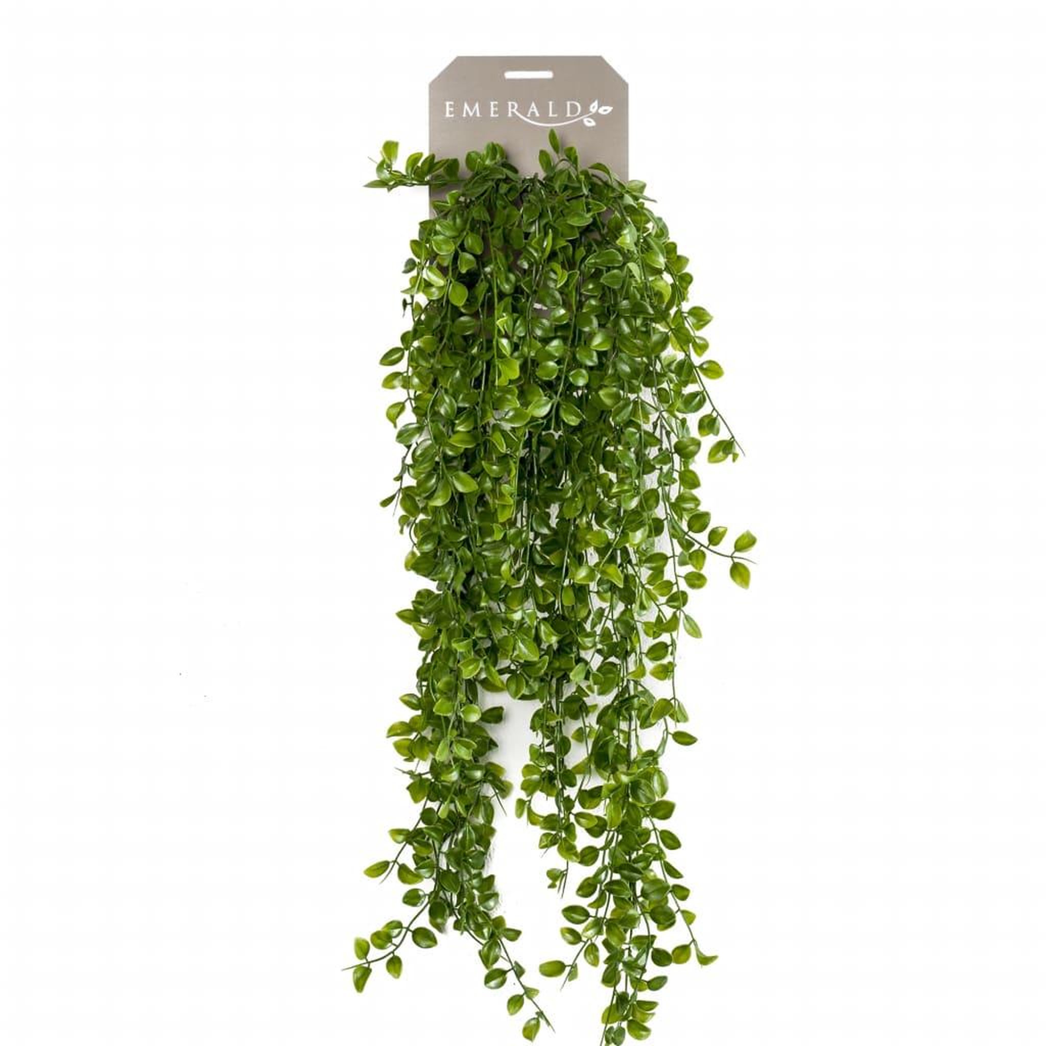 Voir la diapositive 1 : EMERALD Emerald Ficus Pumila artificiel 80 cm