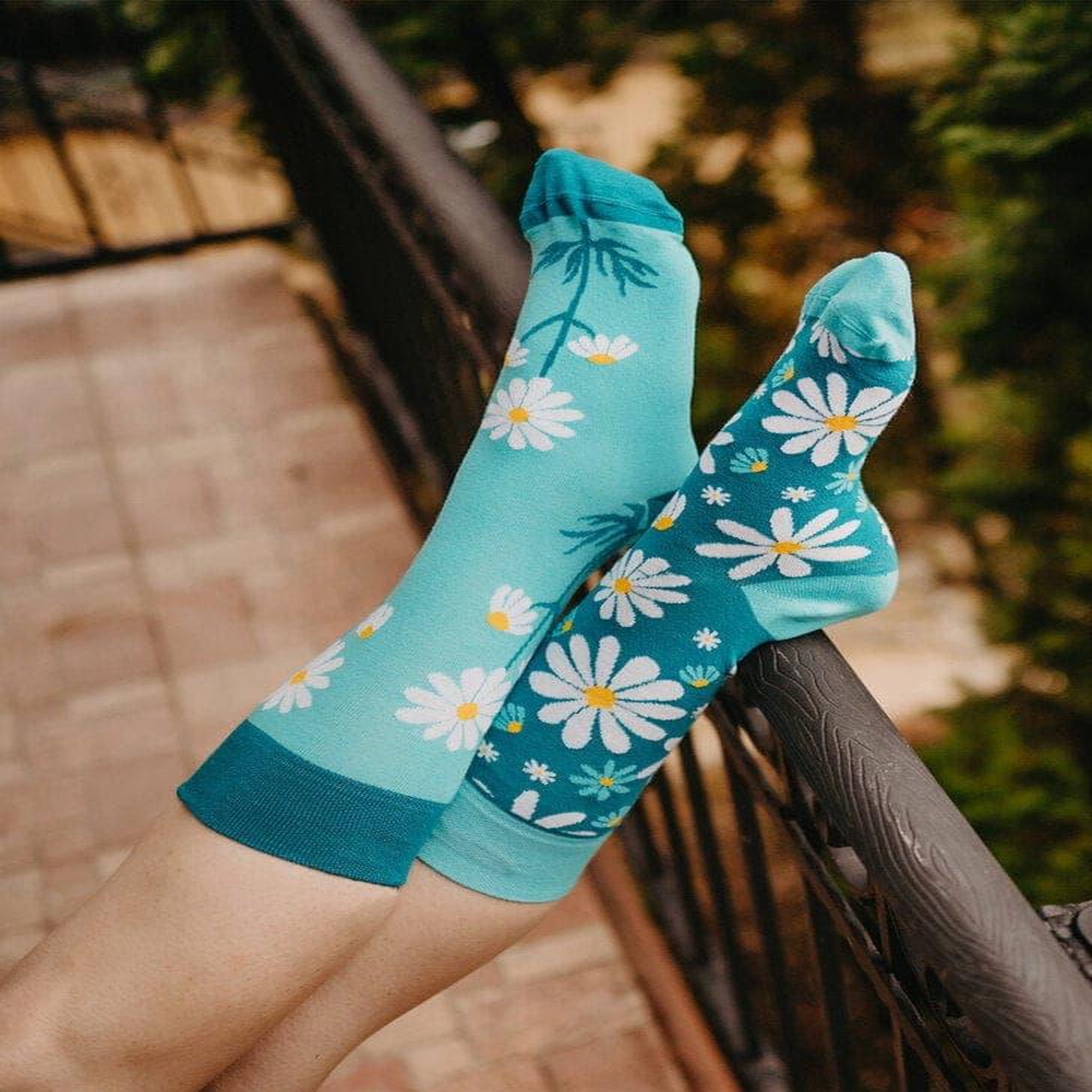Voir la diapositive 4 : DEDOLES Chaussettes camomille
