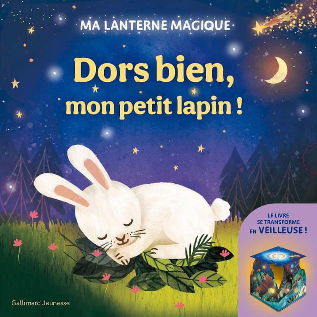 DORS BIEN, MON PETIT LAPIN ! MA LANTERNE MAGIQUE, Saldaña Carmen