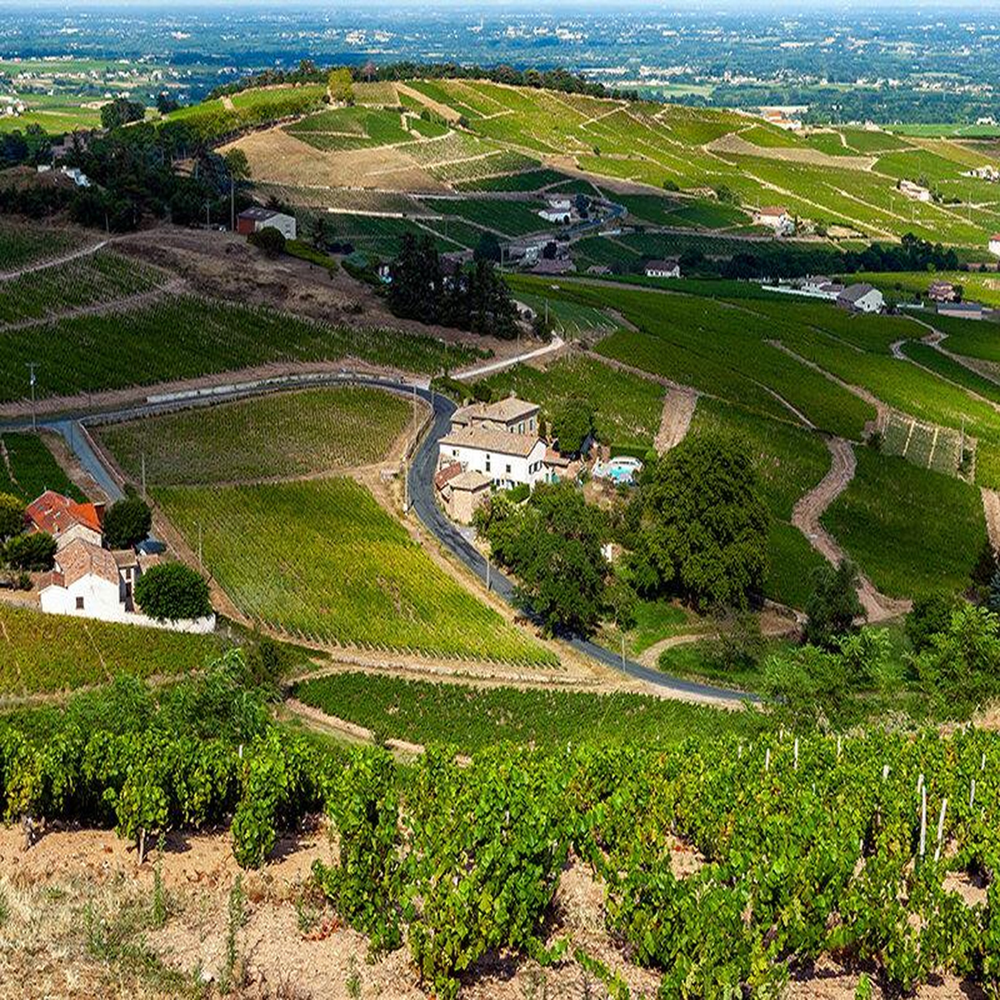 Voir la diapositive 4 : Smartbox Vol en montgolfière au-dessus des vignobles du Beaujolais en semaine - Coffret Cadeau Sport & Aventure