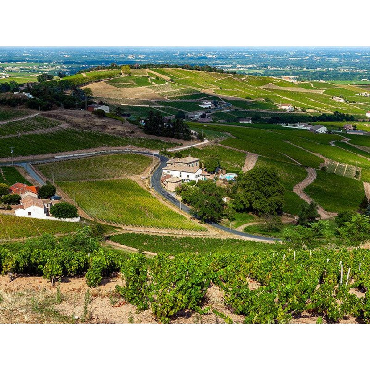 Smartbox Vol en montgolfière au-dessus des vignobles du Beaujolais en semaine - Coffret Cadeau Sport & Aventure