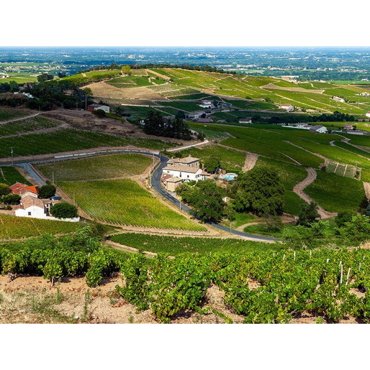 Smartbox Vol en montgolfière au-dessus des vignobles du Beaujolais en semaine - Coffret Cadeau Sport & Aventure