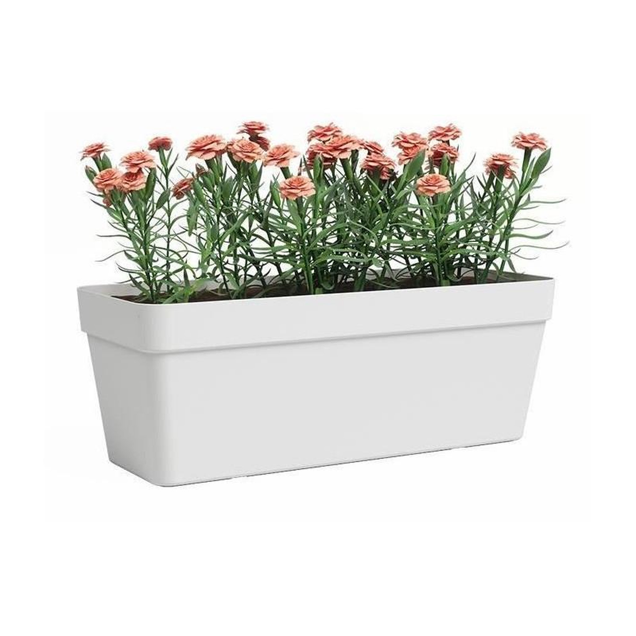 Voir la diapositive 2 : ARTEVASI Jardiniere - ARTEVASI - Rectangulaire - Plastique - Blanc